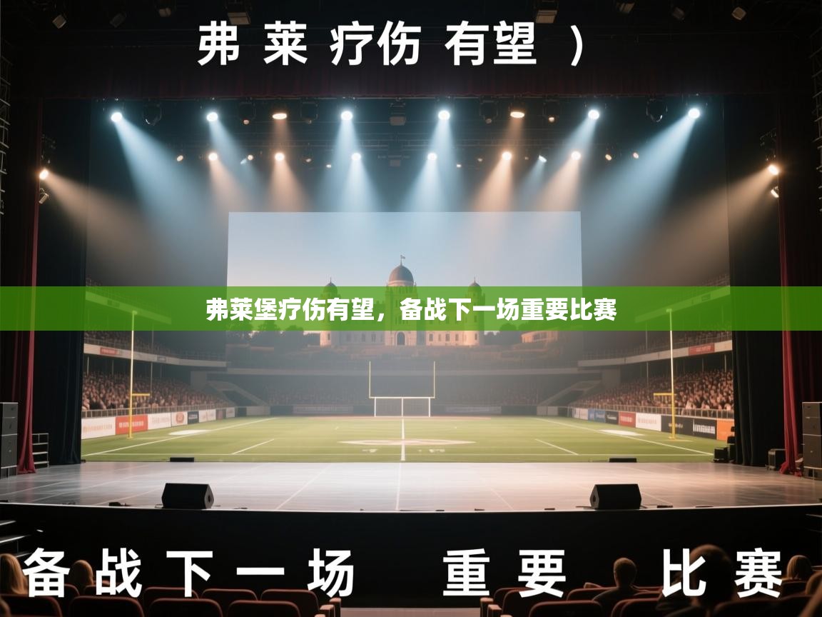 弗莱堡疗伤有望，备战下一场重要比赛  第2张